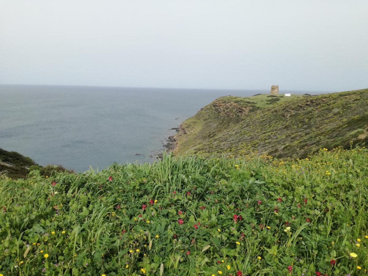 La Calla Bianca Torre dei Corsari Dış mekan fotoğraf